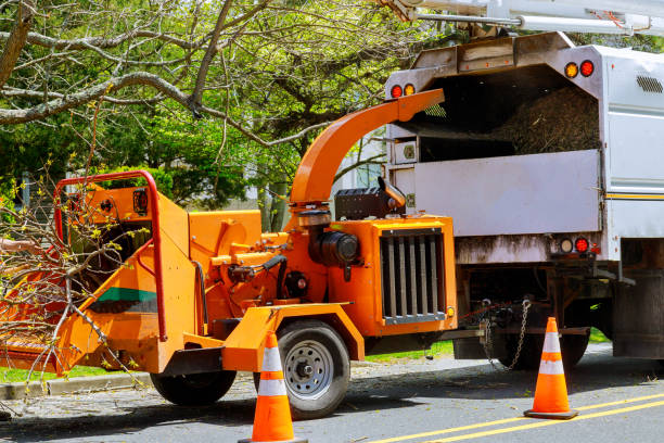 Leaf Removal in Victory Lakes, NJ